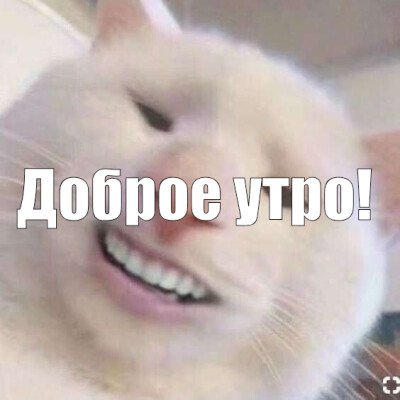 катамба
