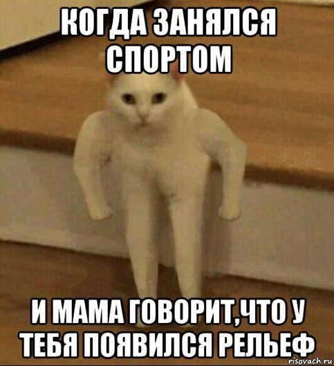 жиза
