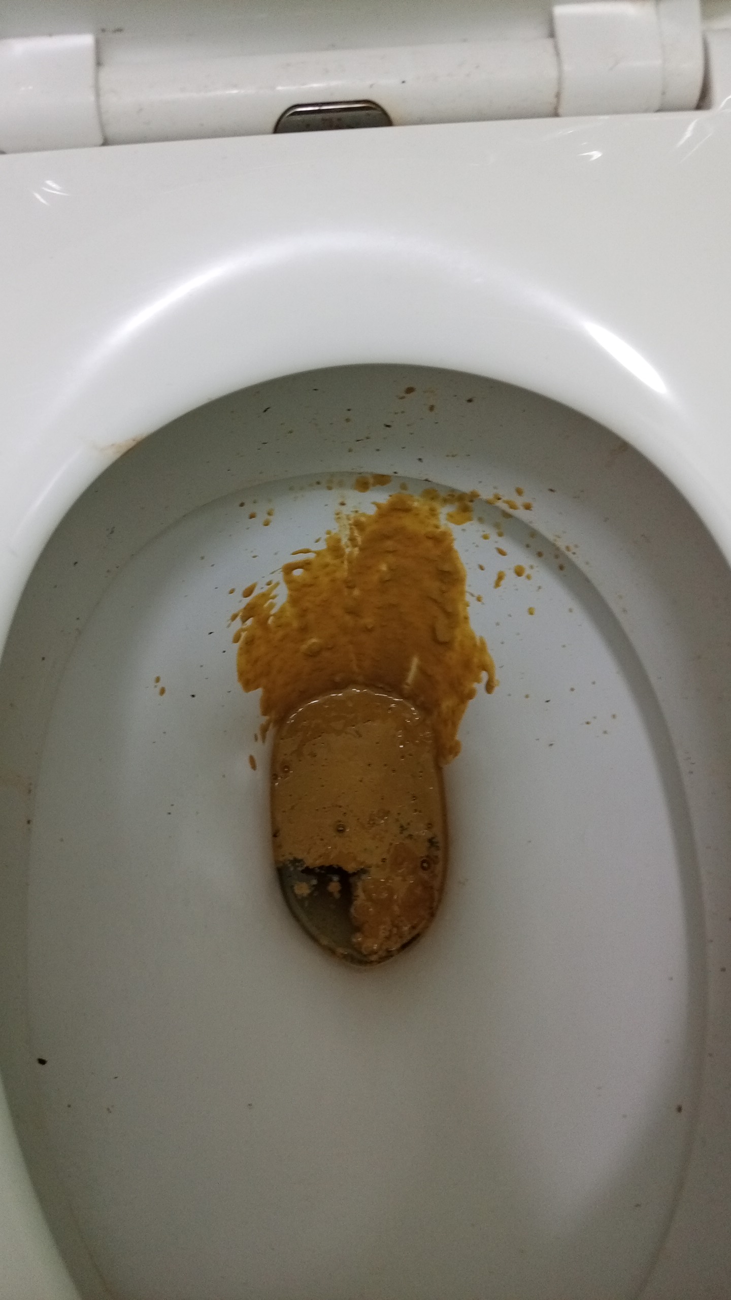 Я покакал