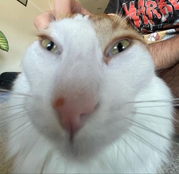 ?