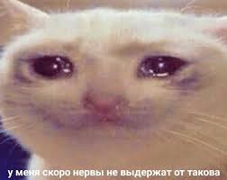 Я щас заплачу ????