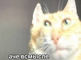 Аче