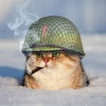 Салаха махаха