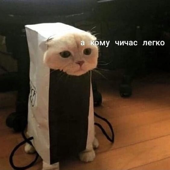 А вам легко