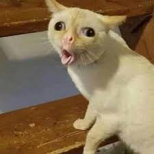 поп