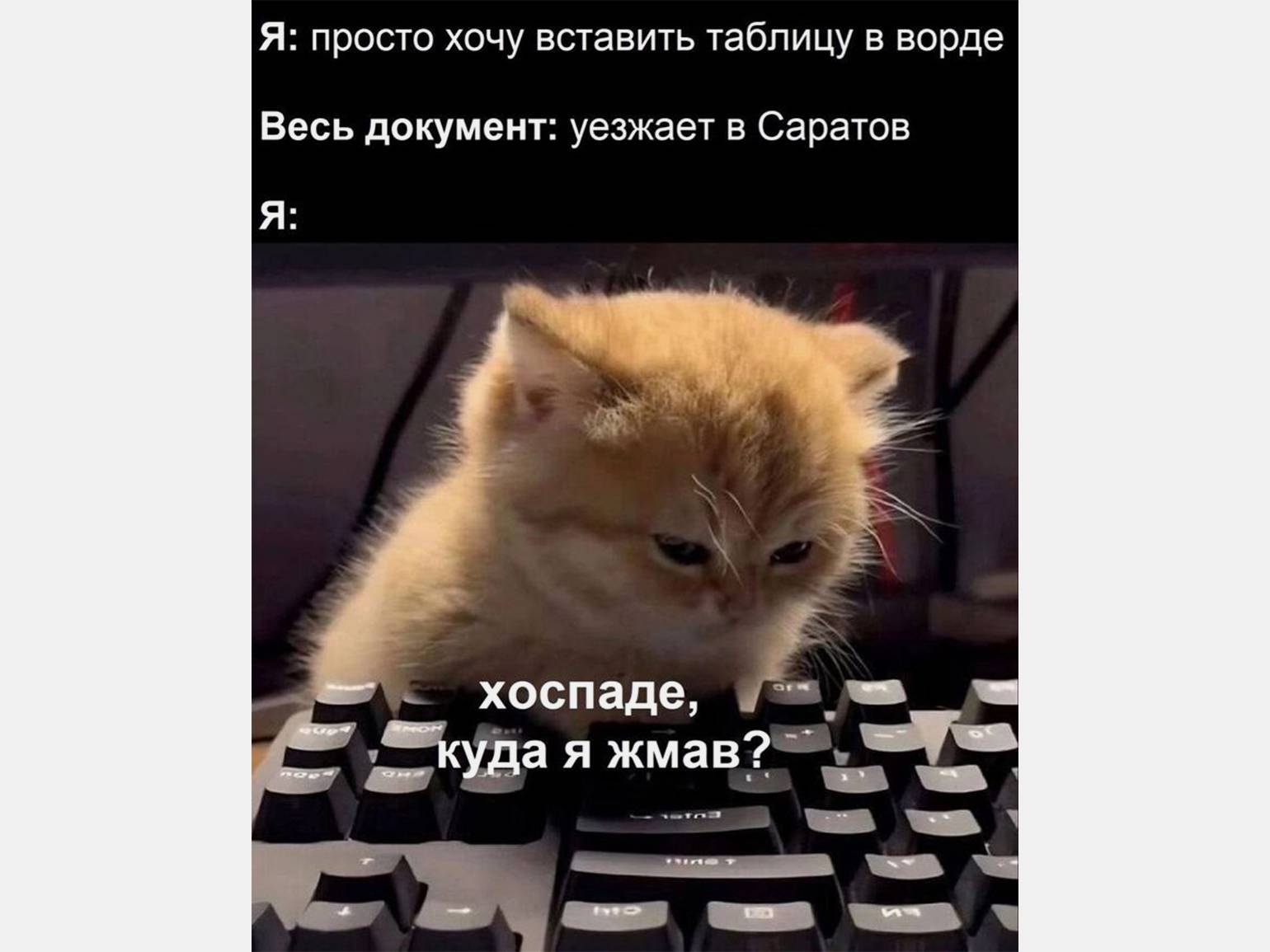 ьЪь
