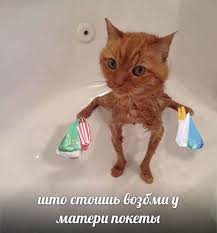 пакеты возьми