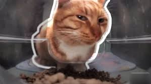 йцук