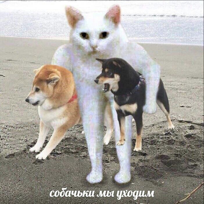 ...